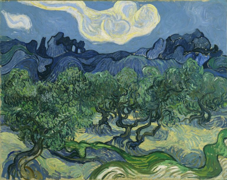 The Olives Trees Van Gogh